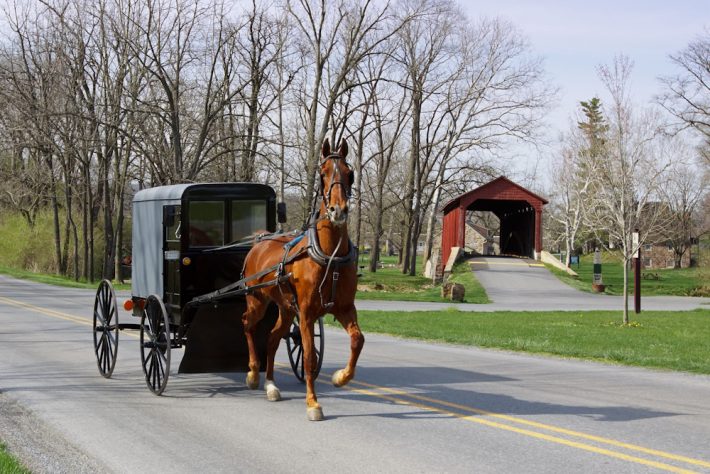 why buy from amish builder