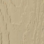 painttan