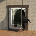 Dog Entry Door