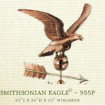 Smithsonian Eagle 955P