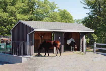 Creative Ideas for Your Custom Dream Horse Barn