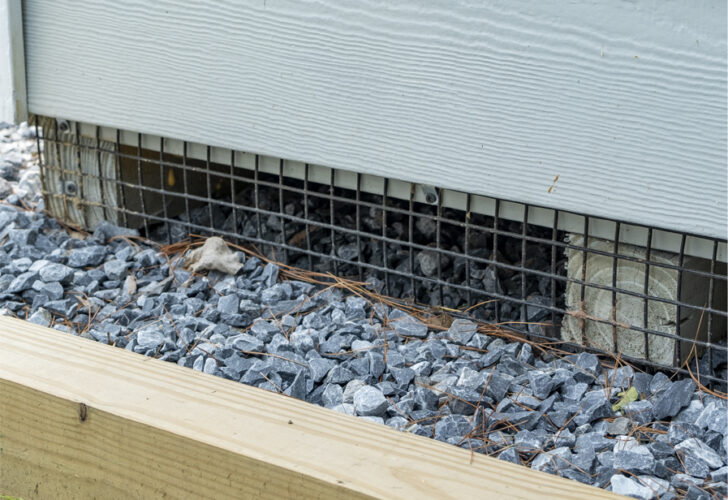 Critter Guard